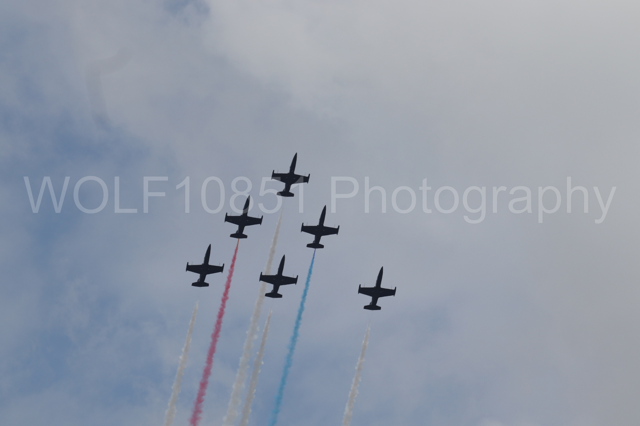 L-39 Albatros | All Black Red lettering | The Patriots Jet Demonstration Team | WOLF10851 Photography