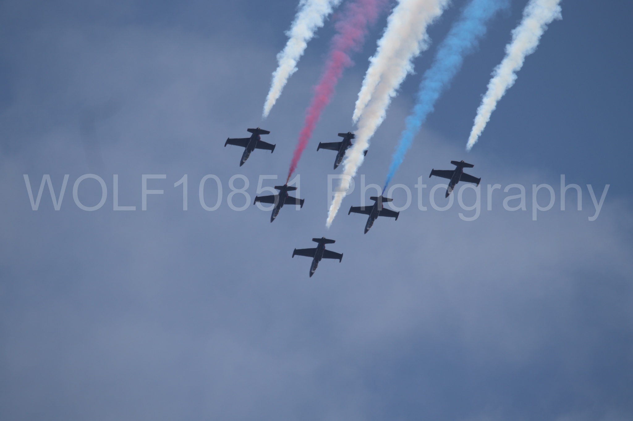 L-39 Albatros | All Black Red lettering | The Patriots Jet Demonstration Team | WOLF10851 Photography
