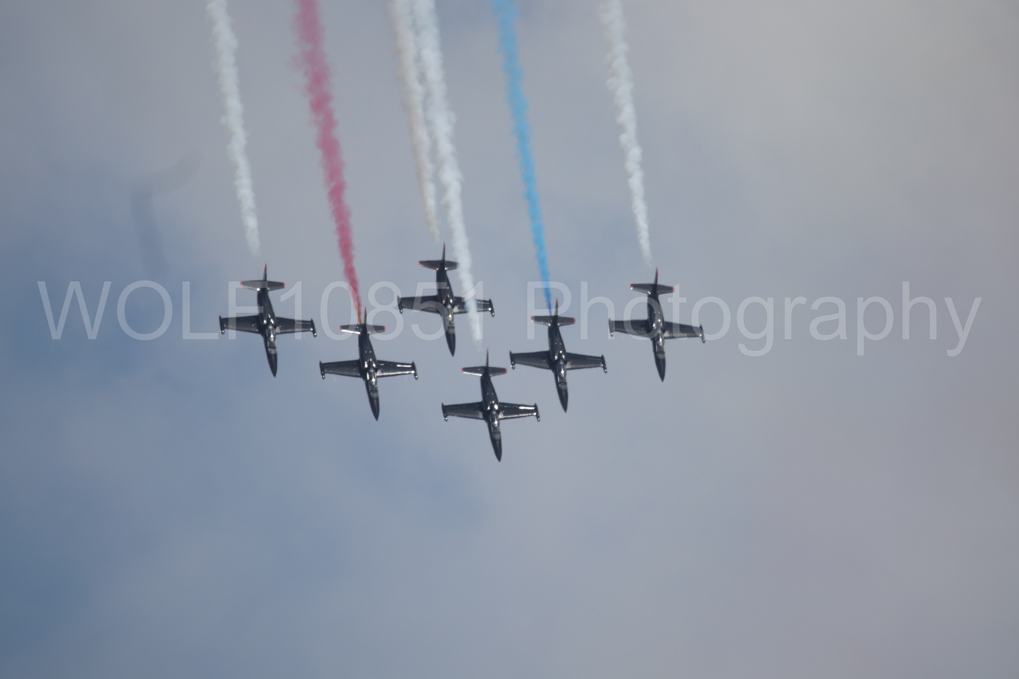 L-39 Albatros | All Black Red lettering | The Patriots Jet Demonstration Team | WOLF10851 Photography