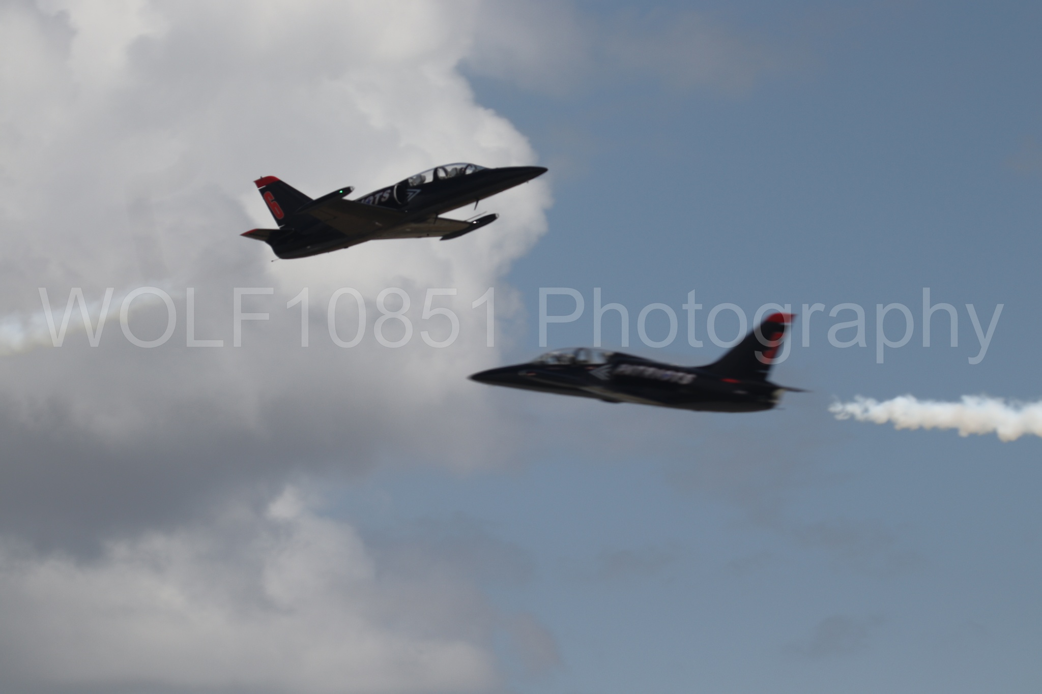 L-39 Albatros | All Black Red lettering | The Patriots Jet Demonstration Team | WOLF10851 Photography