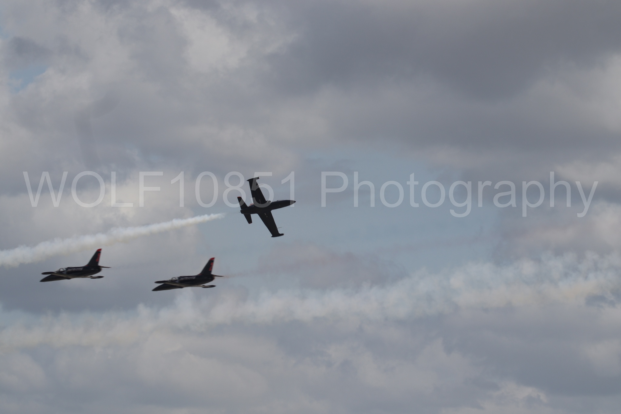 L-39 Albatros | All Black Red lettering | The Patriots Jet Demonstration Team | WOLF10851 Photography