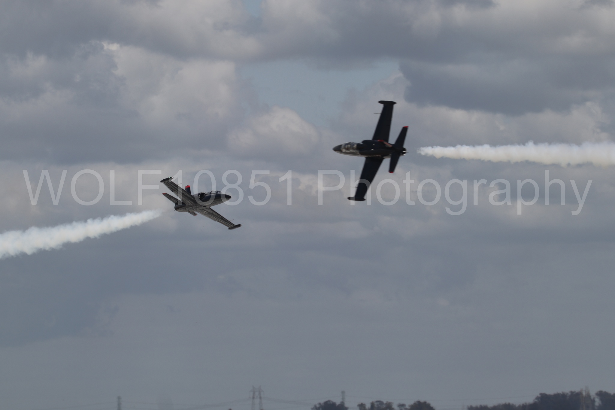 L-39 Albatros | All Black Red lettering | The Patriots Jet Demonstration Team | WOLF10851 Photography