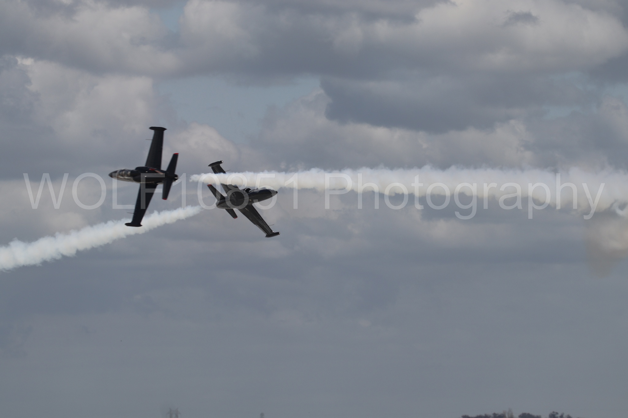 L-39 Albatros | All Black Red lettering | The Patriots Jet Demonstration Team | WOLF10851 Photography