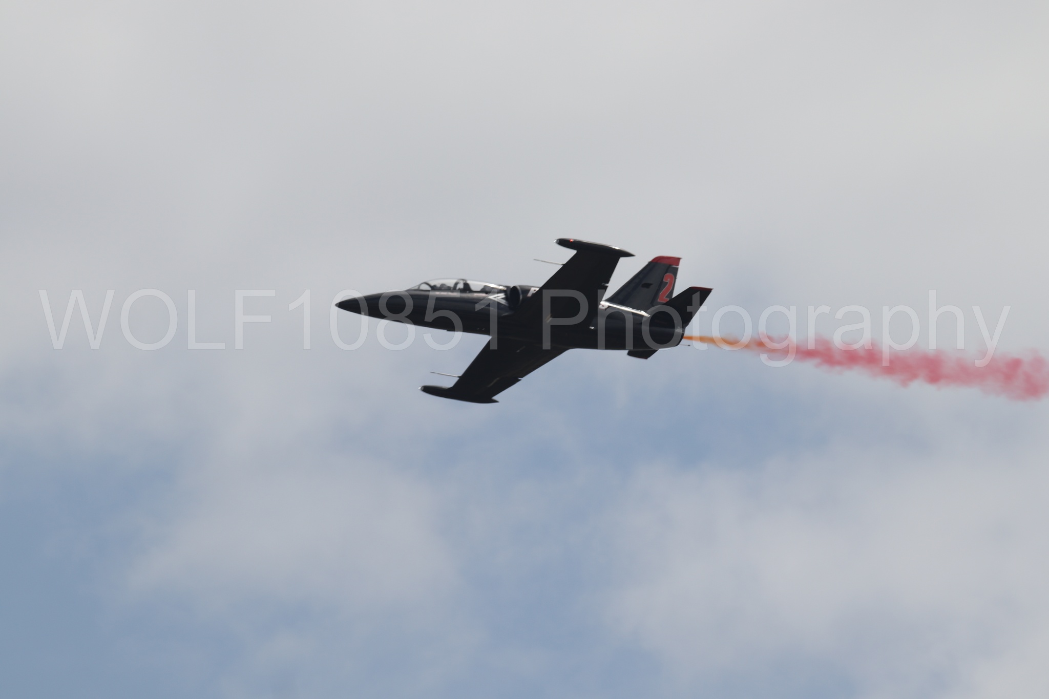 L-39 Albatros | All Black Red lettering | The Patriots Jet Demonstration Team | WOLF10851 Photography