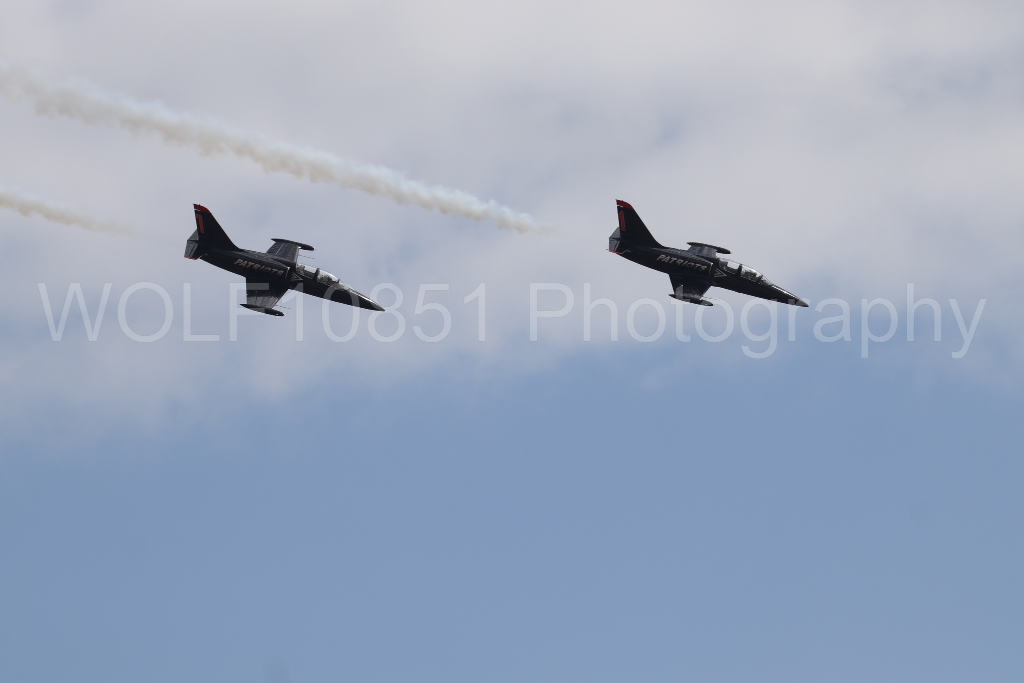 L-39 Albatros | All Black Red lettering | The Patriots Jet Demonstration Team | WOLF10851 Photography