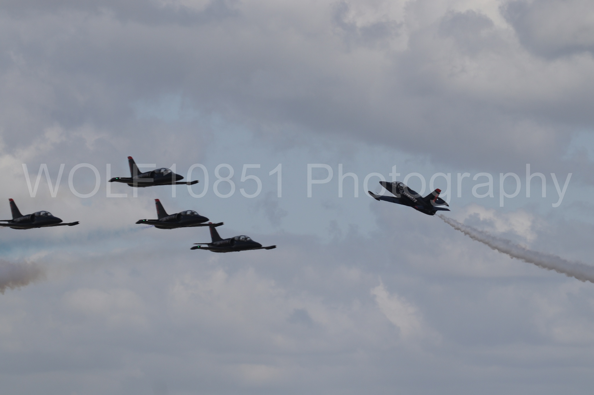 L-39 Albatros | All Black Red lettering | The Patriots Jet Demonstration Team | WOLF10851 Photography