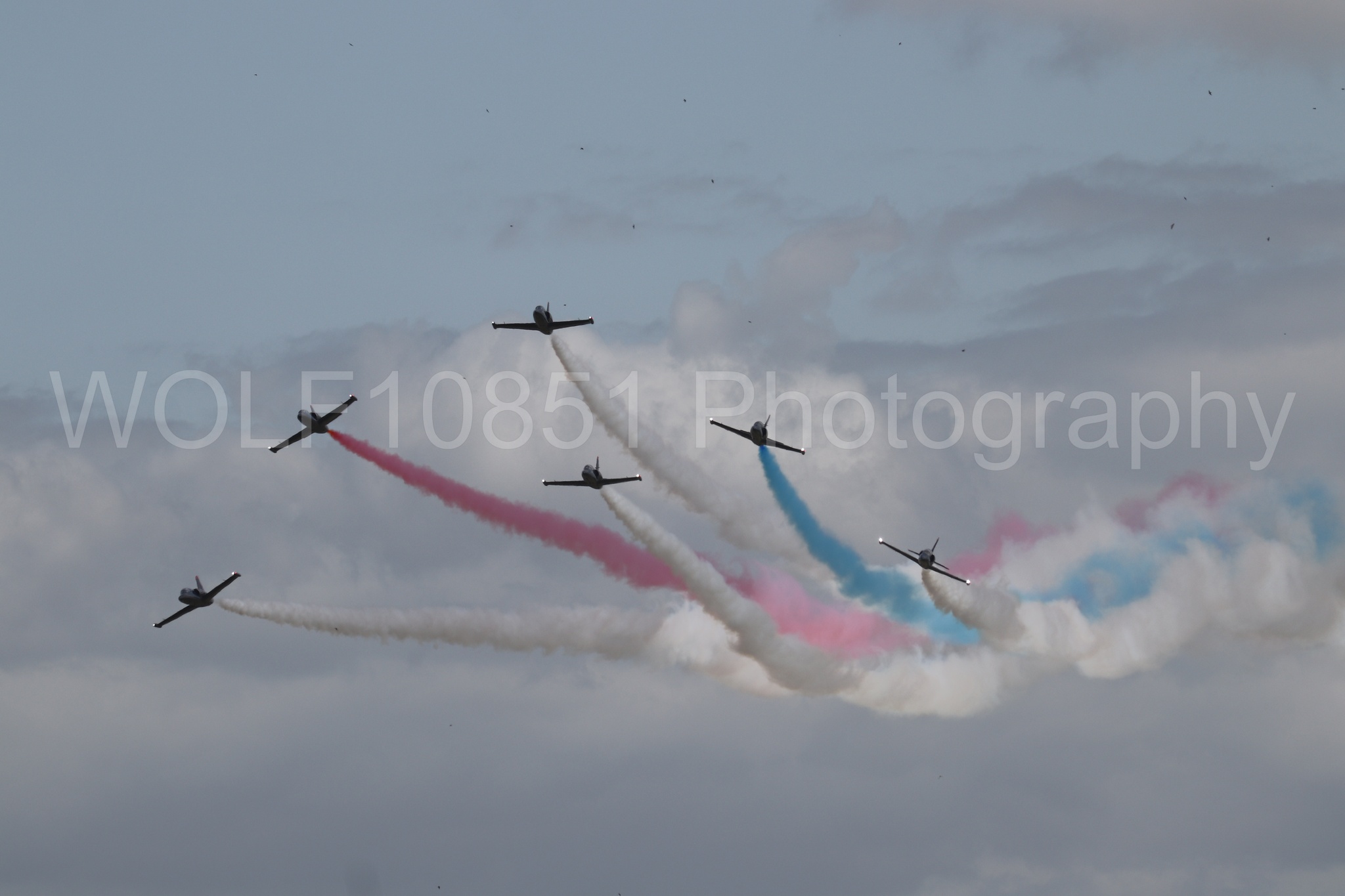 L-39 Albatros | All Black Red lettering | The Patriots Jet Demonstration Team | WOLF10851 Photography