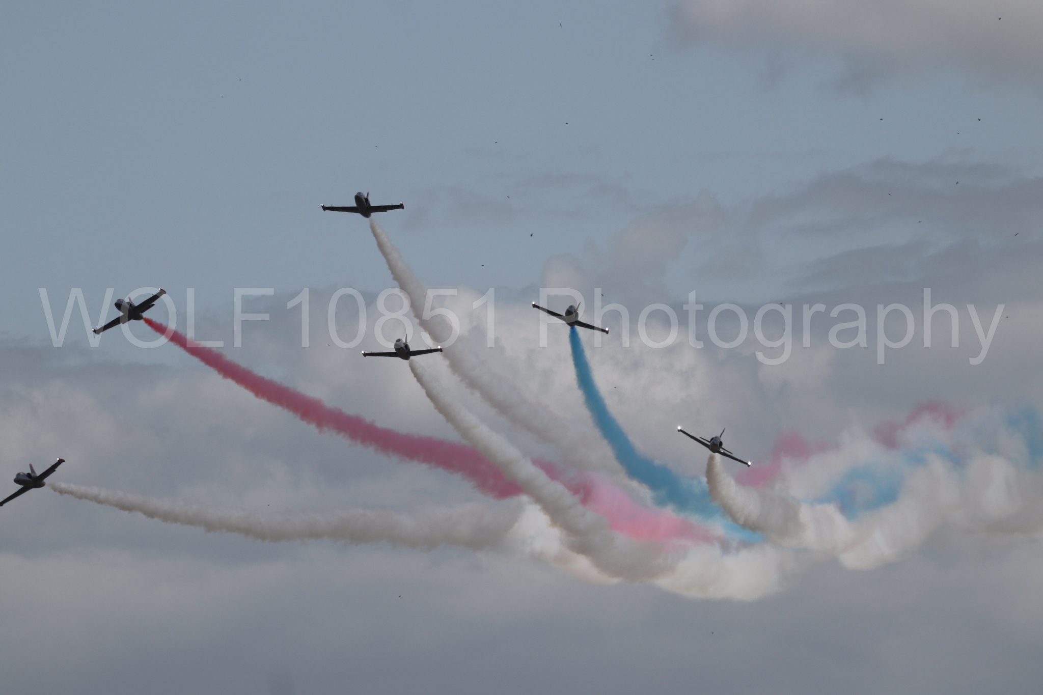 L-39 Albatros | All Black Red lettering | The Patriots Jet Demonstration Team | WOLF10851 Photography