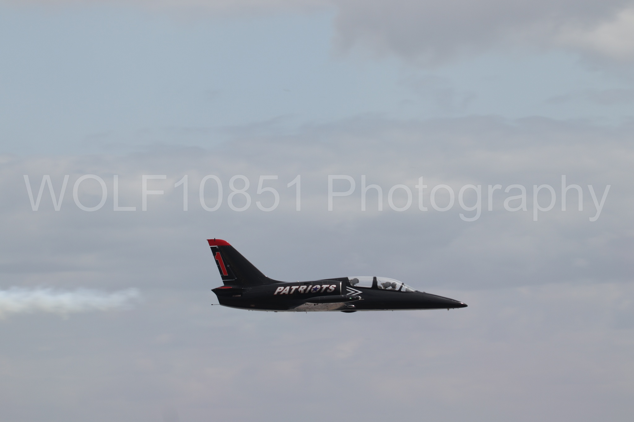 L-39 Albatros | All Black Red lettering | The Patriots Jet Demonstration Team | WOLF10851 Photography