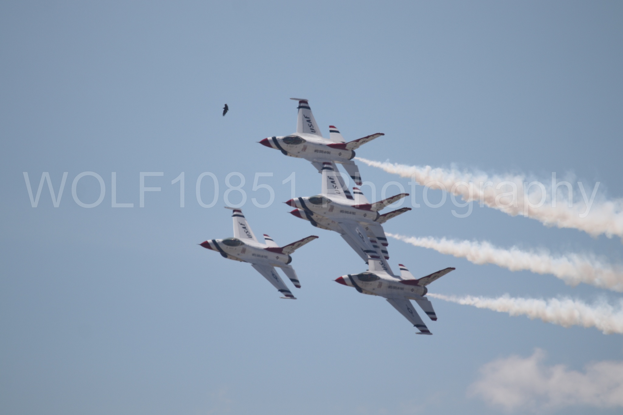 F-16 Fighting Falcon | Red White and Blue | Thunderbirds | WOLF10851 Photography