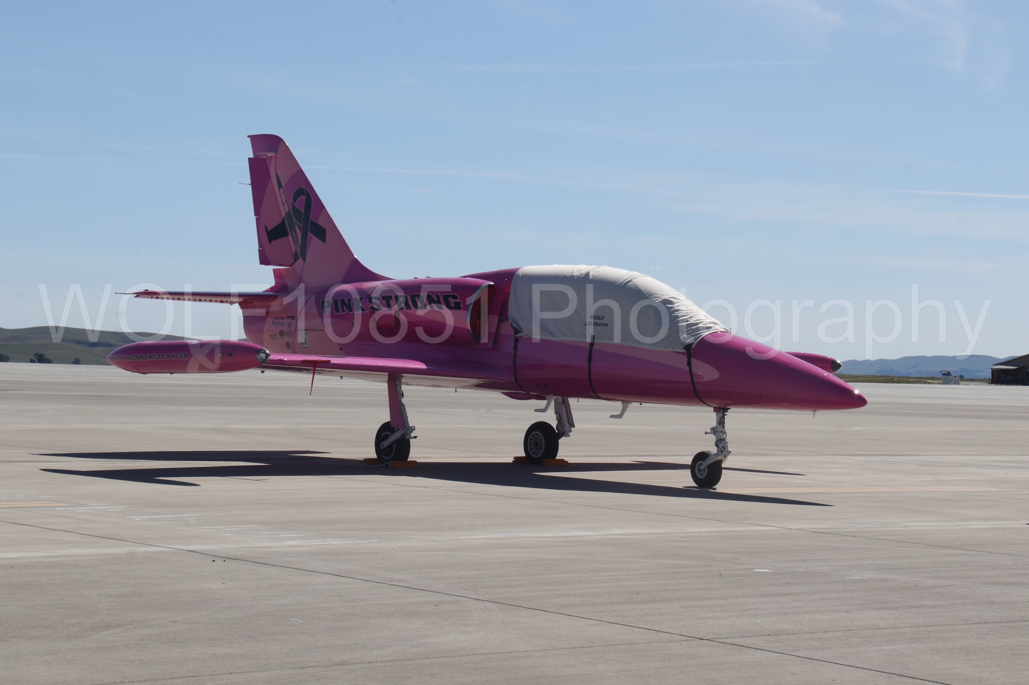 L-39 Albatros | WOLF10851 Photography