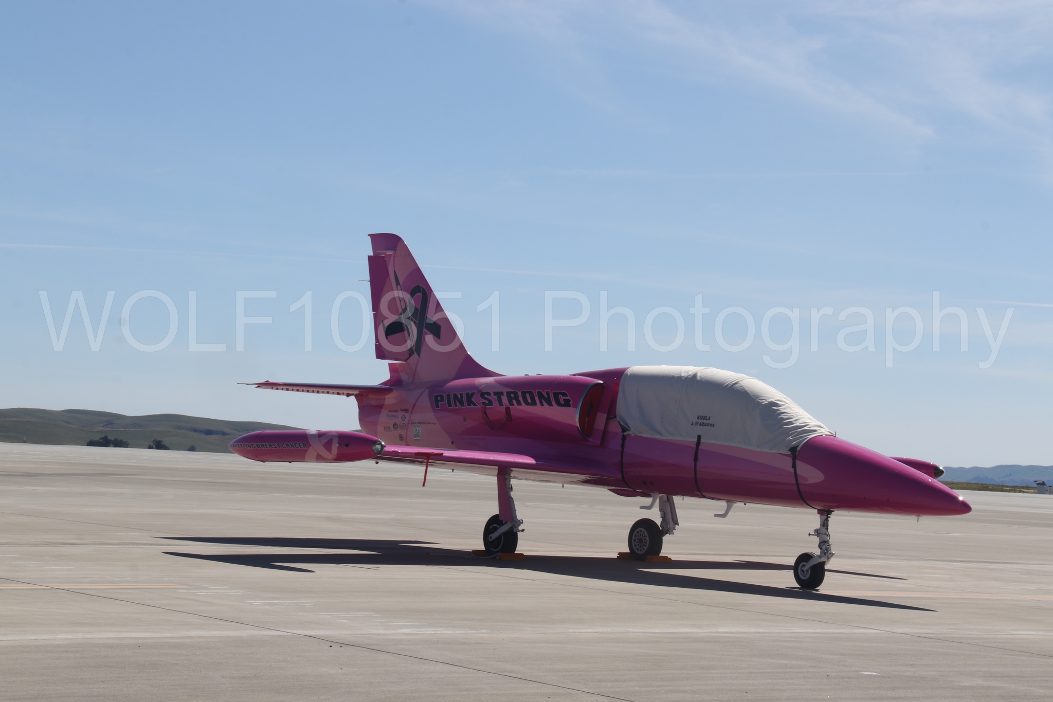 L-39 Albatros | WOLF10851 Photography